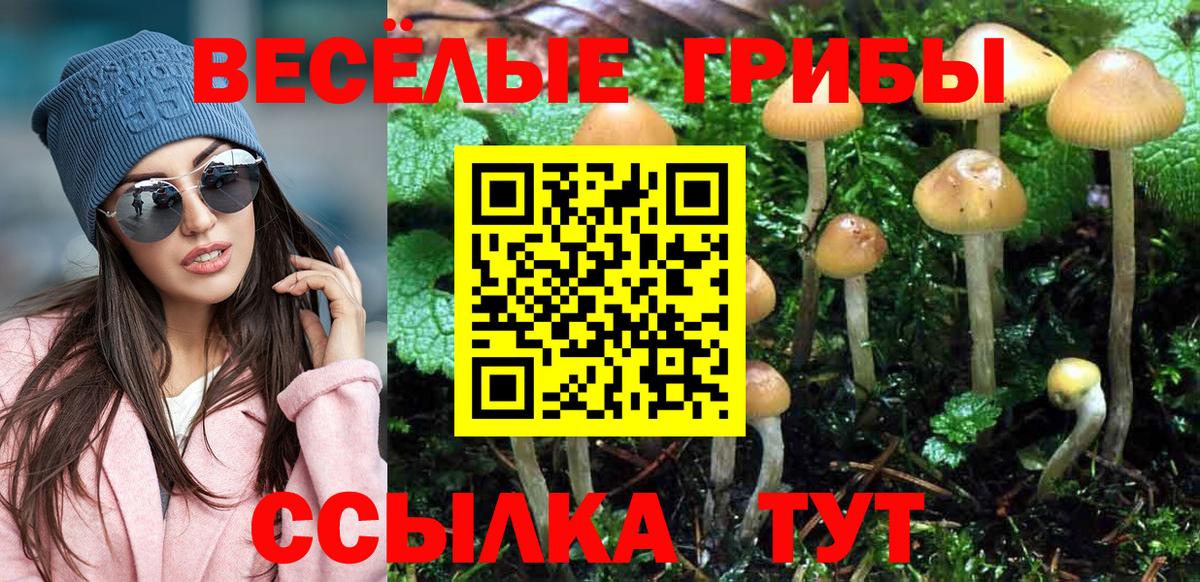 Псилоцибиновые грибы мухоморы  Псилоцибиновые грибы прущие грибы  как найти закладки  Вход с VPN  Лангепас 