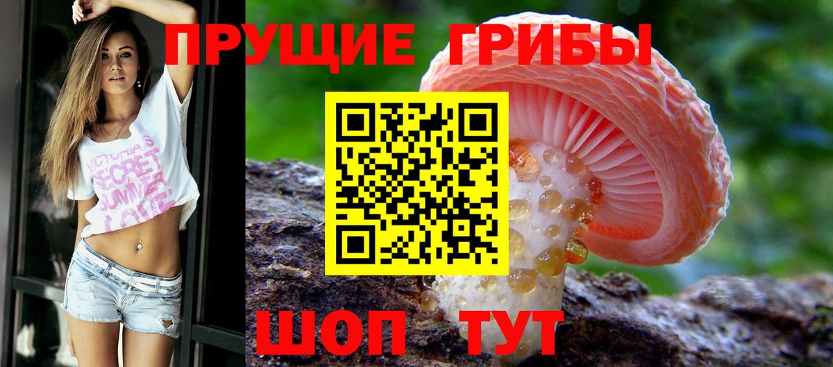 Галлюциногенные грибы Psilocybine cubensis Лангепас